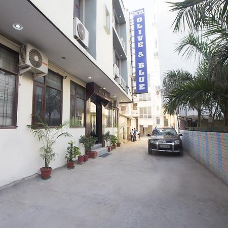 橄榄和布鲁机场酒店 新德里 外观 照片